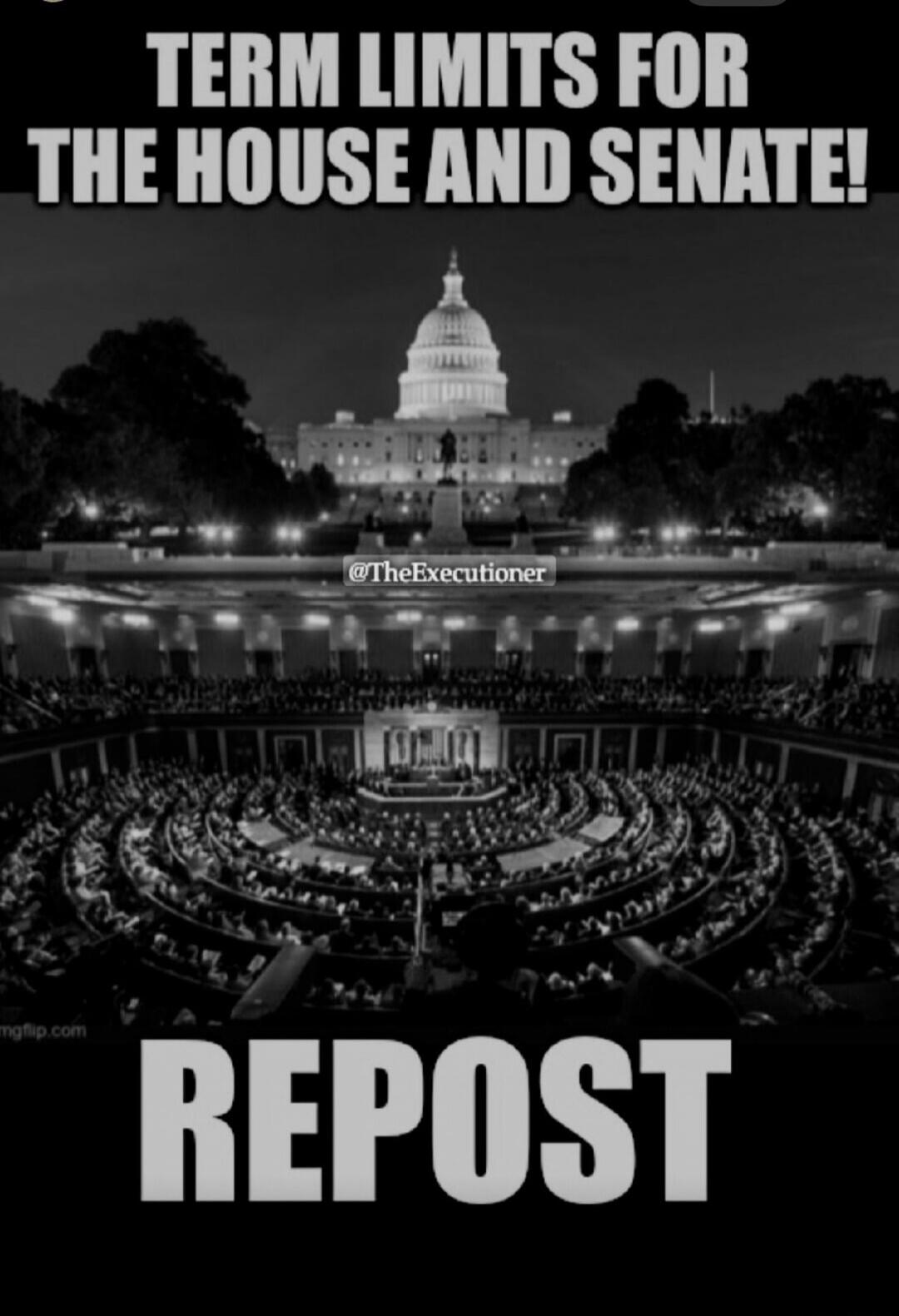 TERM LIMITS FOR THE HOUSE AND SENATE! REPOST