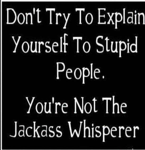 Don't Try To Explain Yourself To Stupid People. You're Not The Jackass Whisperer