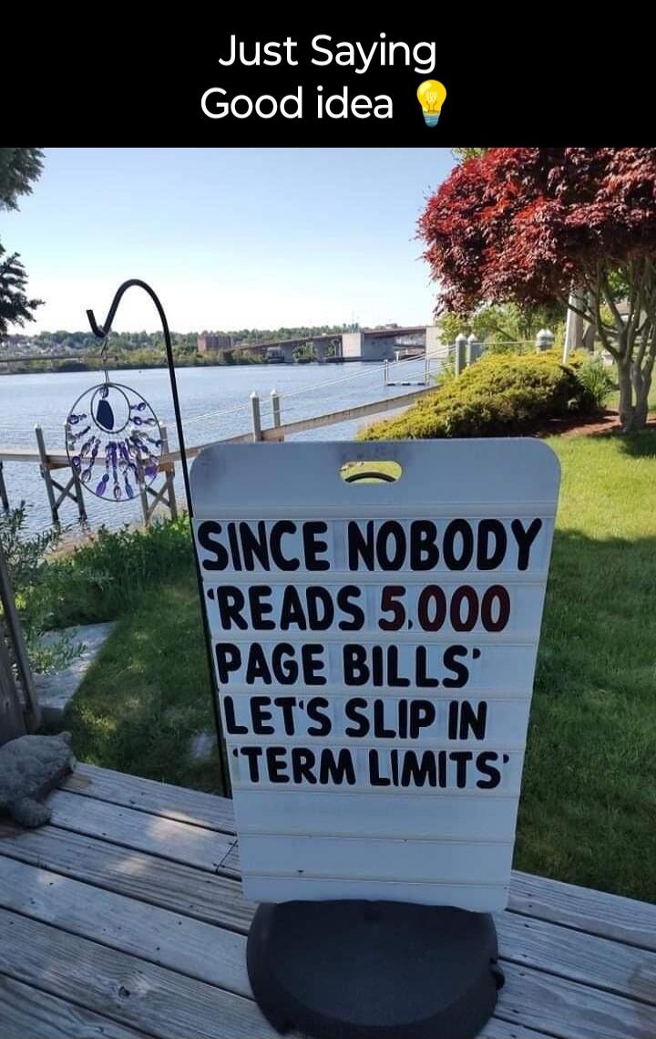 Just Saying Good idea 💡 SINCE NOBODY 'READS 5.000 PAGE BILLS' LET'S SLIP IN 'TERM LIMITS'