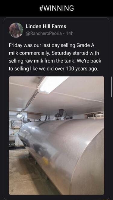 WINNING Linden Hill Farms Wi RancheroPeoria 14h EVAVEE A EEEG EVET NEET YN milk commercially Saturday started with selling raw milk from the tank Were back to selling like we did over 100 years ago