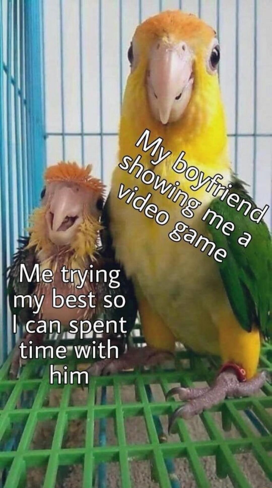 My boyfriend showing me a video game Me trying my best so I can spent time with him