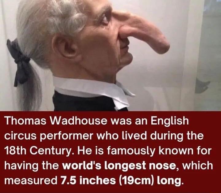 RLCTUERRNET G CIVERVE T B To 1 eVEN oTTg o 1y T AW TR TIZTe M VI T T R 3 Y s QN OTTo VT S R ER E1 T WA G T R eg GEVILTeRGERTTT G R TT LEES LELRW ey measured 75 inches 19cm long