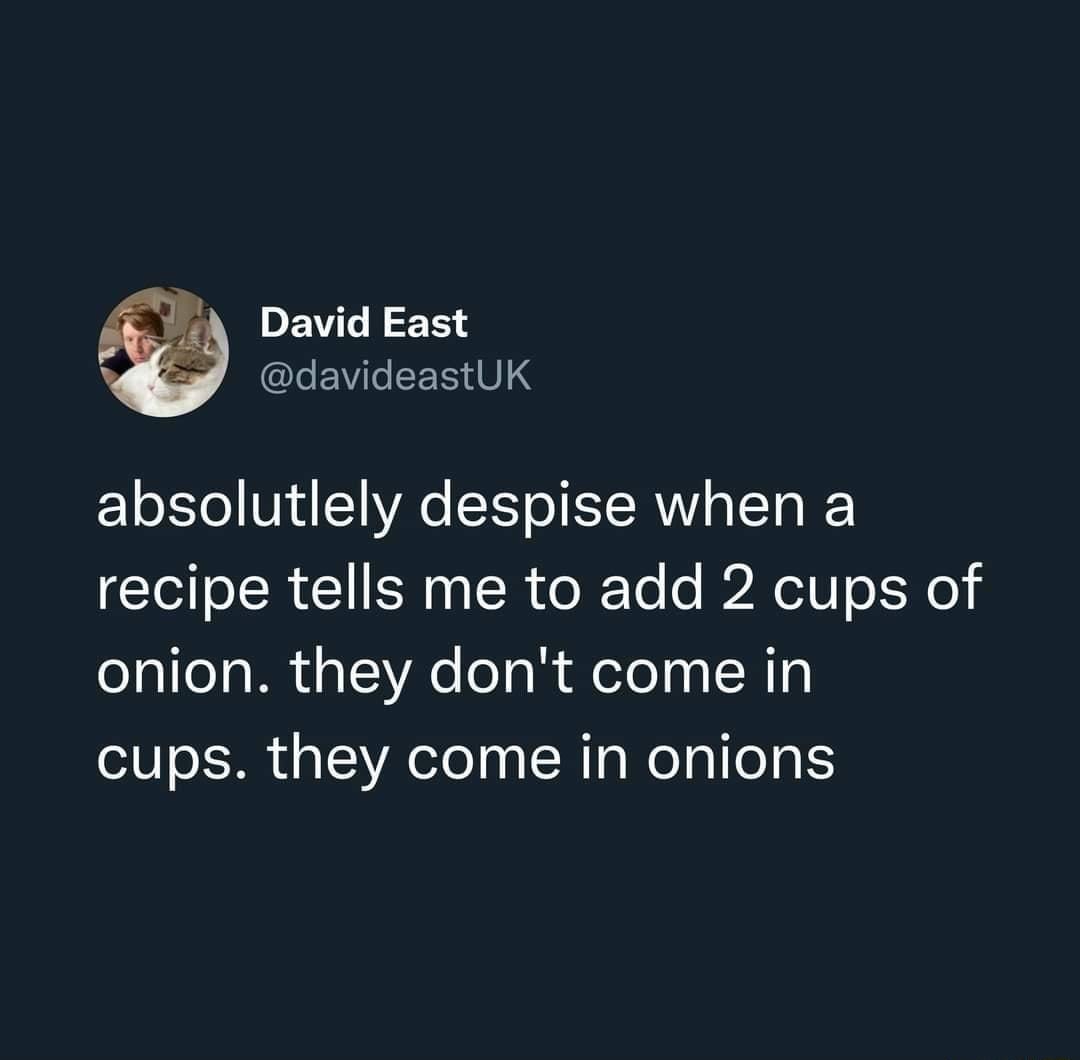 DEVLEEE LENGEERTIS absolutlely despise when a recipe tells me to add 2 cups of onion they dont come in cups they come in onions