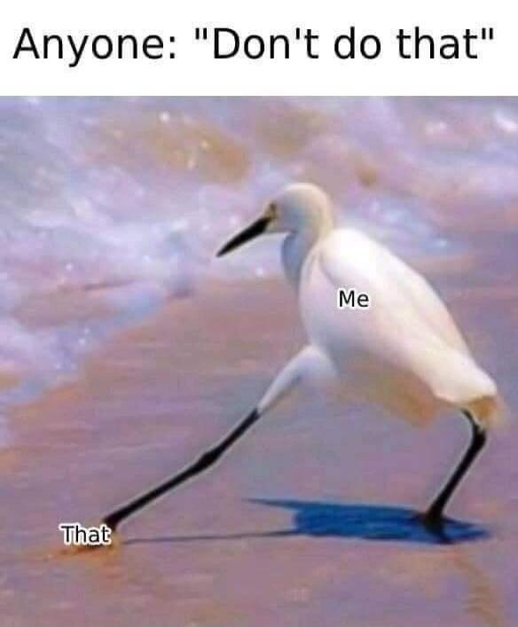 Anyone: 