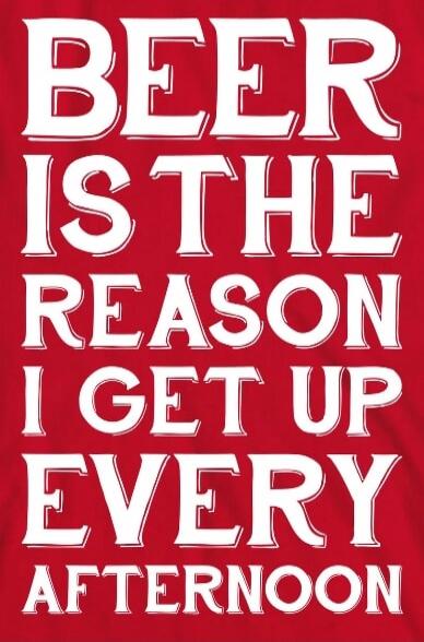 BEER IS THE REASON I GET UP EVERY AFTERNOON