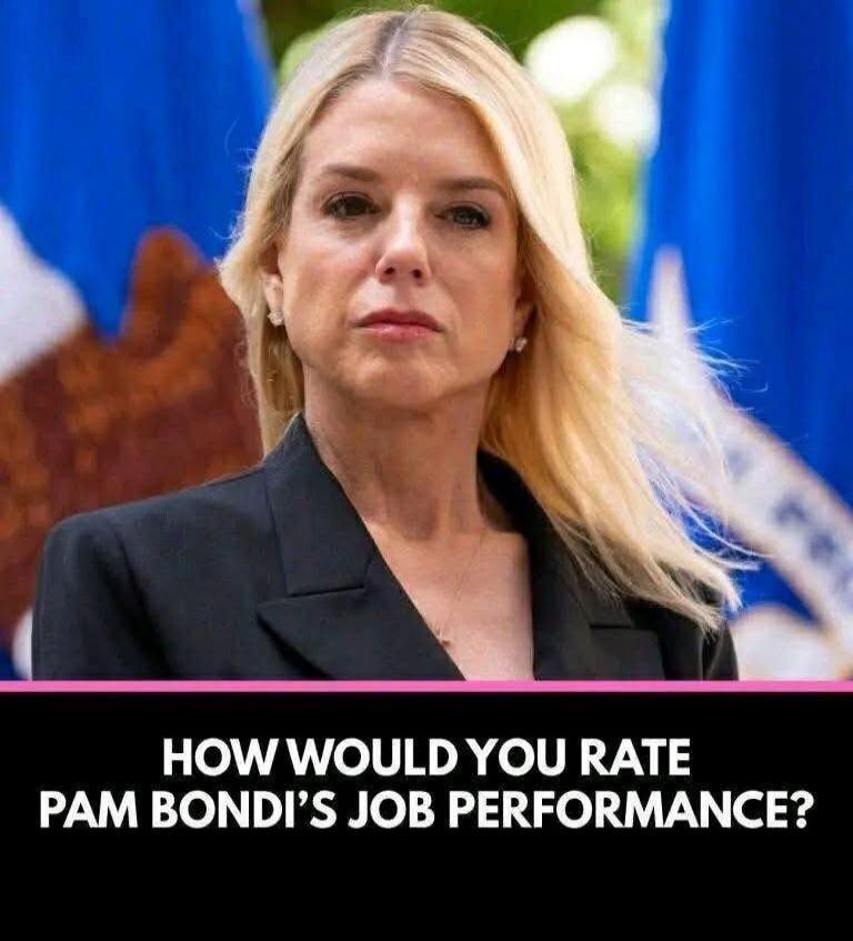 HOW WOULD YOU RATE PAM BONDI'S JOB PERFORMANCE?