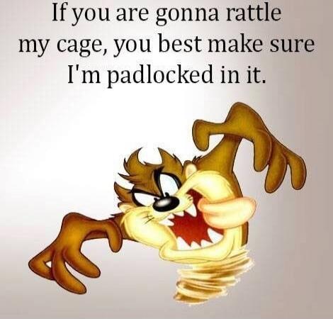 If you are gonna rattle my cage, you best make sure I'm padlocked in it.