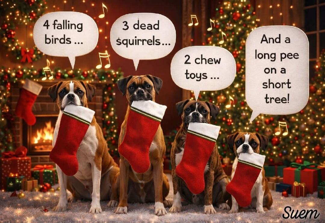 4 falling birds ...
3 dead squirrels...
2 chew toys ...
And a long pee on a short tree!