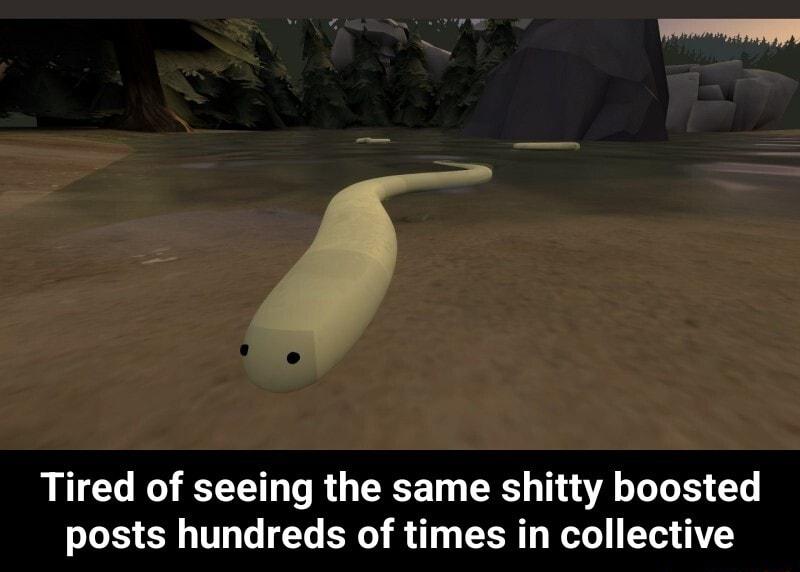 Tired of seeing the same shitty boosted posts hundreds of times in collective