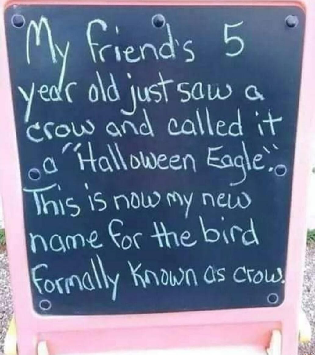 OYy Ceis 5 4 A odjus S0Ww o Clow and called o Holoween Eaqe S S NOW my neLd ANOMe Coc e bicd Cox m Xnawa s Crouw