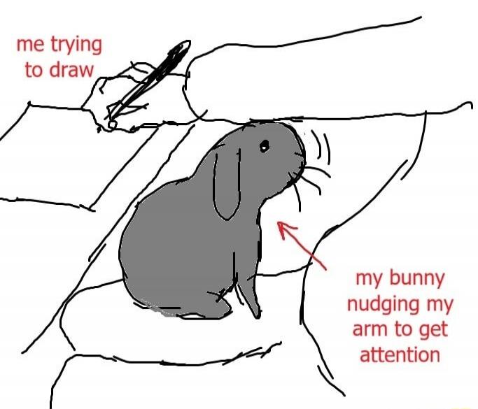 me trying to draw my bunny nudging my arm to get attention