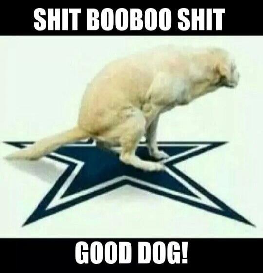 SHIT BOOBOO SHIT GOOD DOG!