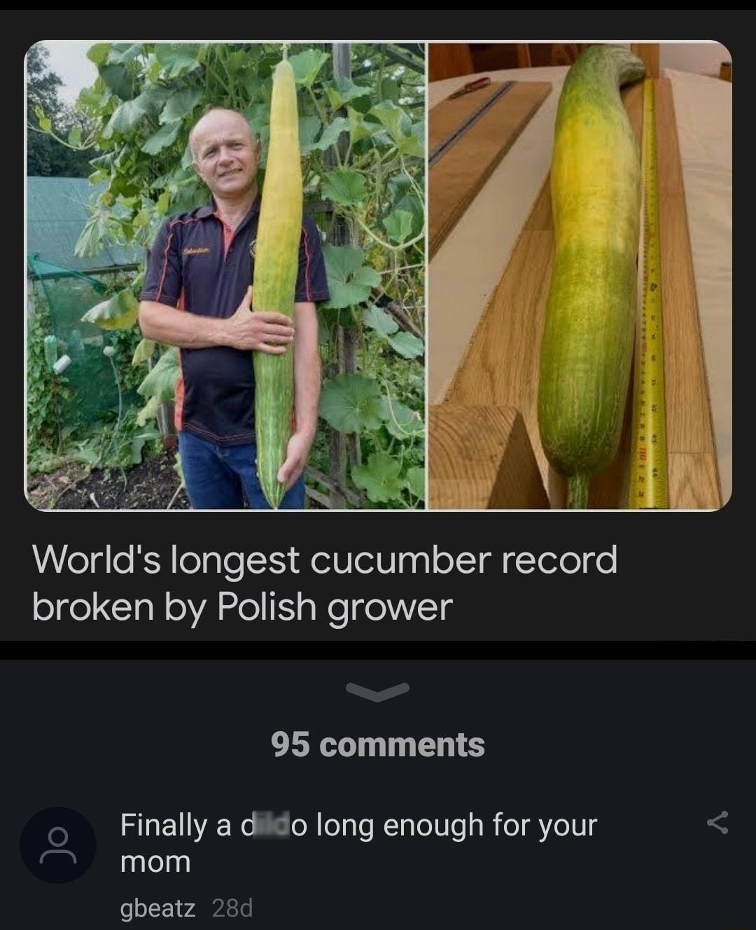 Worlds longest cucumber record broken by Polish grower 95 comments Finally a dildo long enough for your mom gbeatz 28d