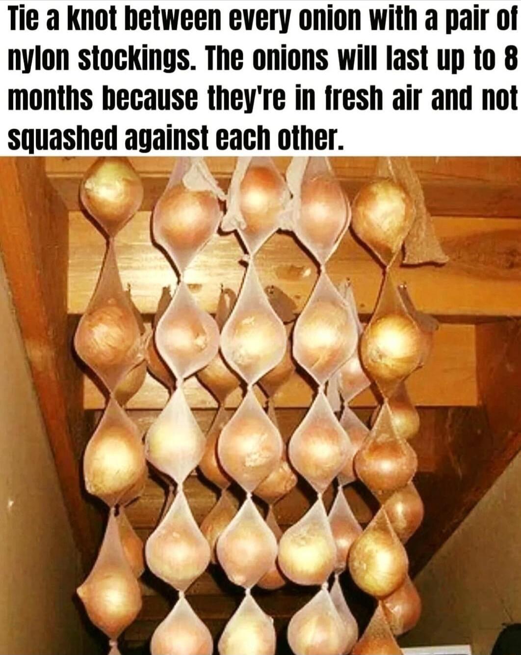 Tie a knot between every onion with a pair of nylon stockings The onions will last up to 8 months because theyre in fresh air and not suuasned against each other
