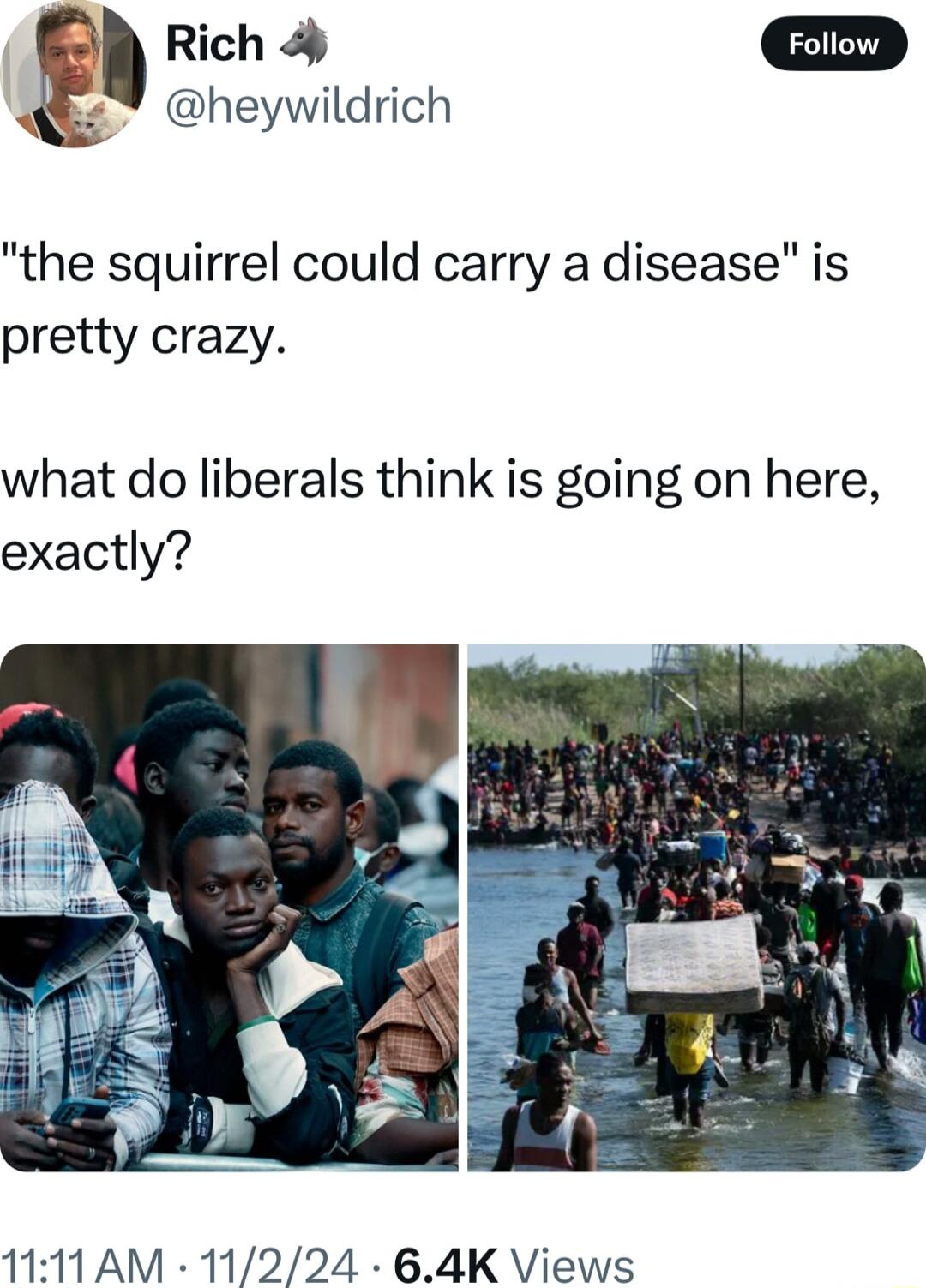Rich D 2 heywildrich the squirrel could carry a disease is pretty crazy what do liberals think is going on here exactly 1111AM 11224 64K Views