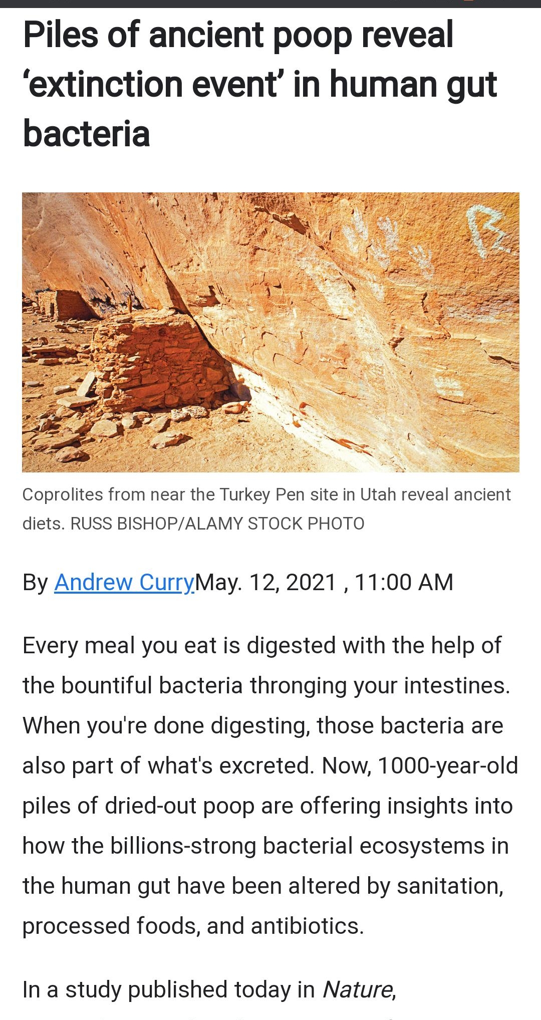 Piles of ancient poop reveal extinction event in human gut bacteria Coprolites from near the Turkey Pen site in Utah reveal ancient diets RUSS BISHOPALAMY STOCK PHOTO By Andrew CurryMay 122021 1100 AM Every meal you eat is digested with the help of the bountiful bacteria thronging your intestines When youre done digesting those bacteria are also part of whats excreted Now 1000 year old piles of dr