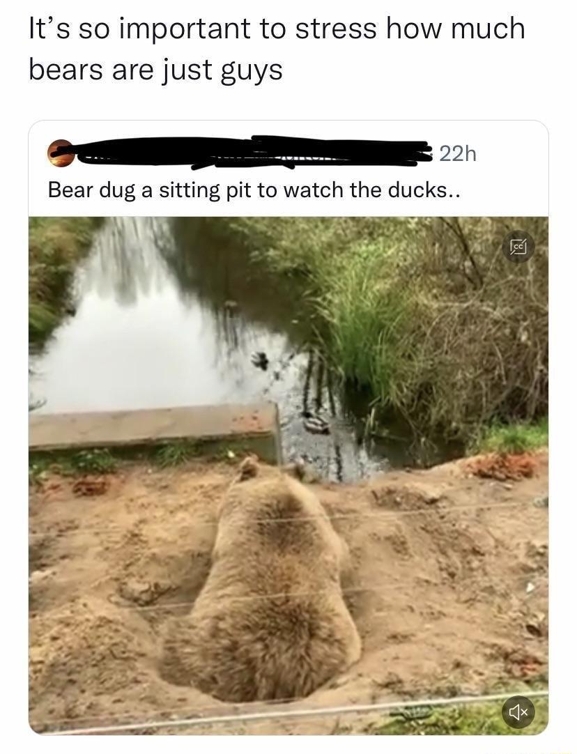 Its so important to stress how much bears are just guys SrePEE Bear dug a sitting pit to watch the ducks