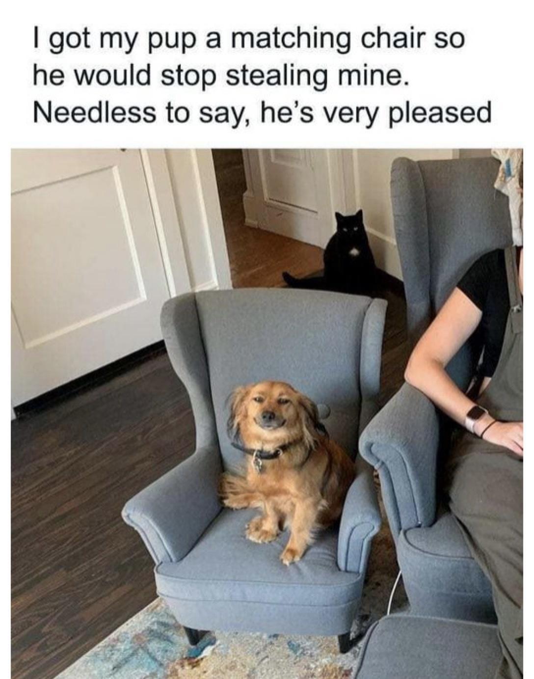 got my pup a matching chair so he would stop stealing mine Needless to say hes very pleased