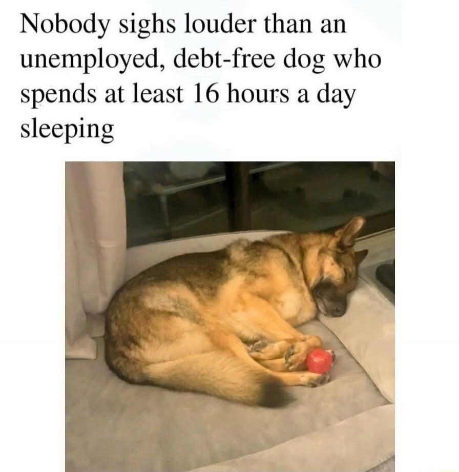 Nobody sighs louder than an unemployed, debt-free dog who spends at least 16 hours a day sleeping