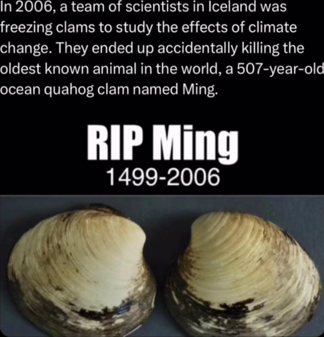 In 2006 a team of scientists in Iceland was freezing clams to study the effects of climate change They ended up accidentally killing the o CO G R I EI R RGNl RERT Y SVEET Sl o IR N VEL AR EINE R VT T 1499 2006