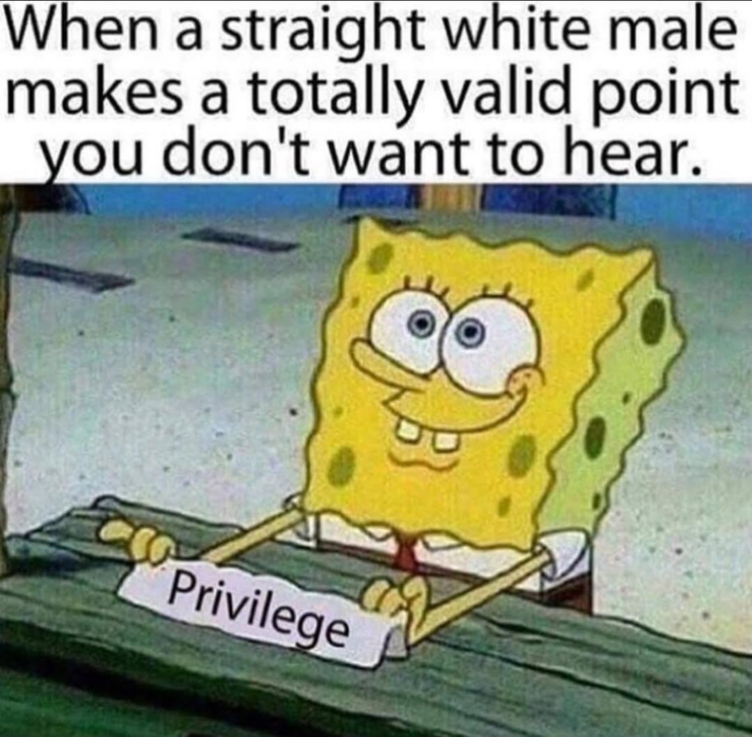 When a straight white male makes a totally valid point you don't want to hear. 

Privilege