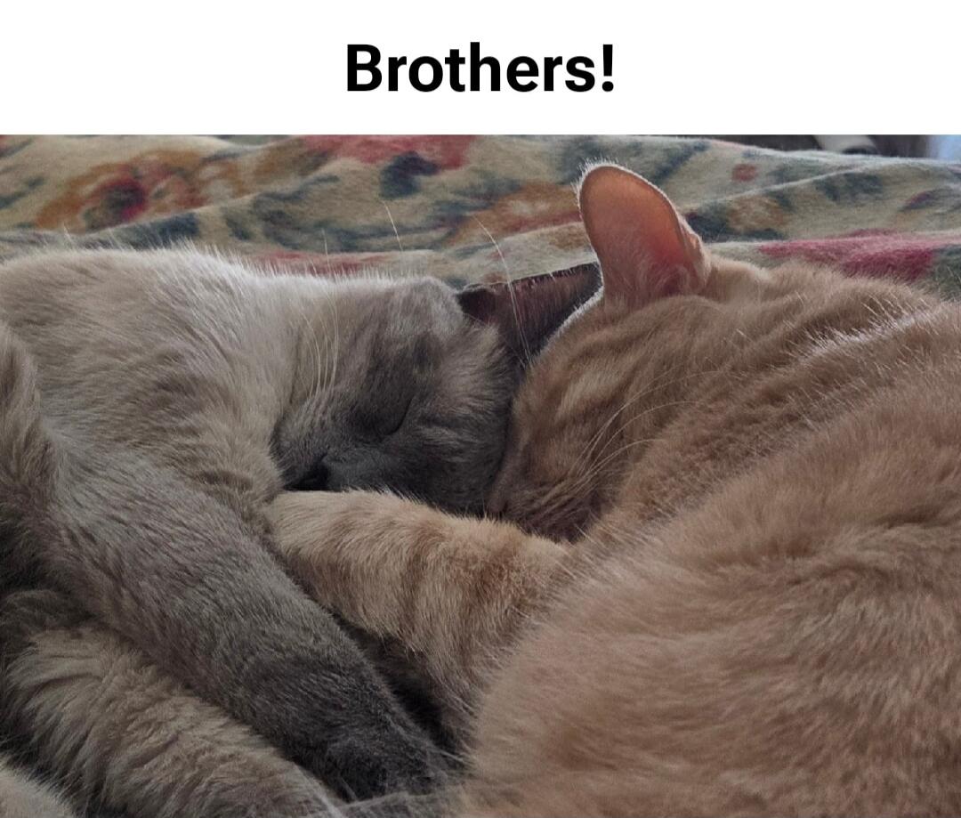 Brothers!