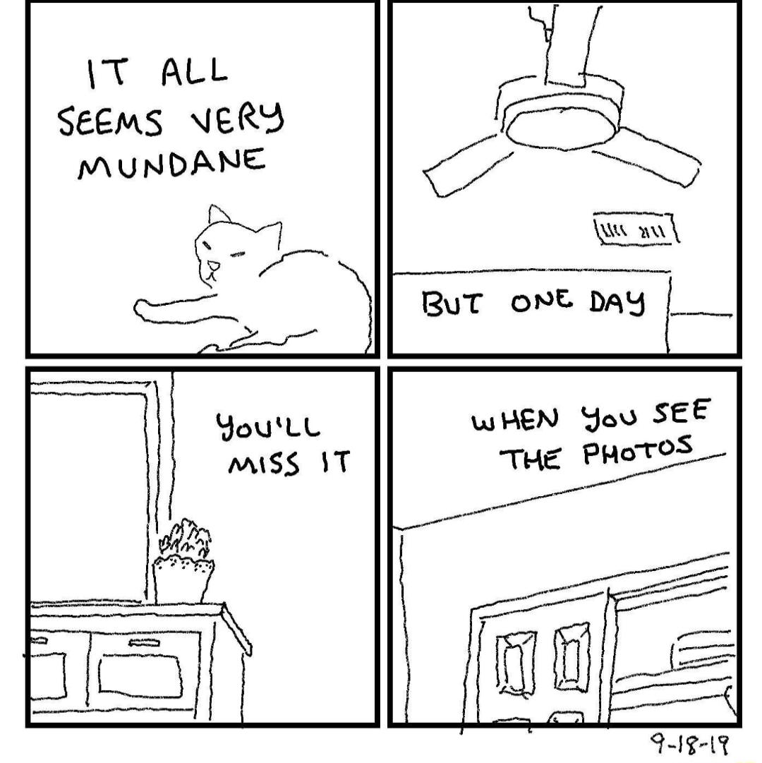 T ALL SEEMS NERY MUNDANE T BuT OME DAY WHEN You SEE o 9 18 1