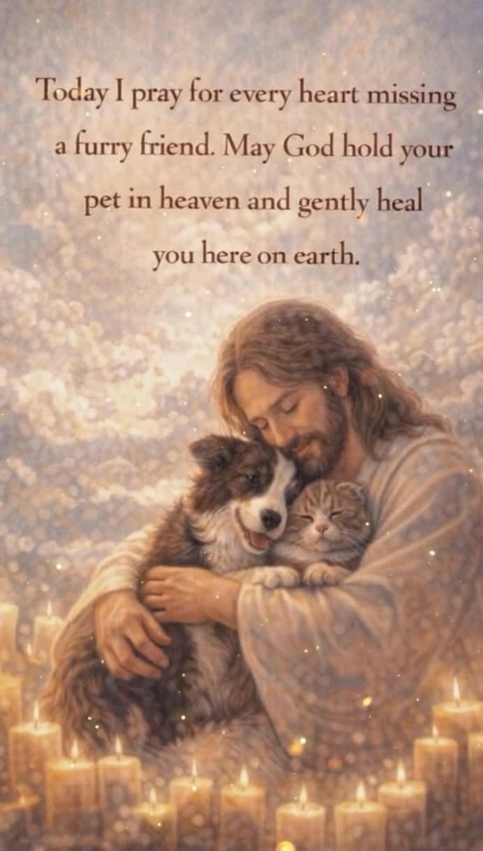 Today I pray for every heart missing a furry friend. May God hold your pet in heaven and gently heal you here on earth.