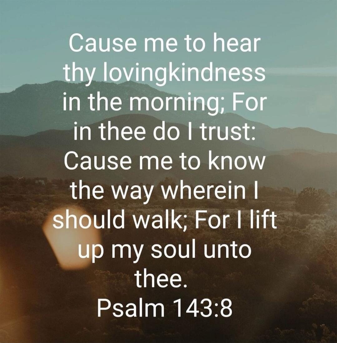 Cause me to hear thy lovingkindness in the morning; For in thee do I trust: Cause me to know the way wherein I should walk; For I lift up my soul unto thee. Psalm 143:8