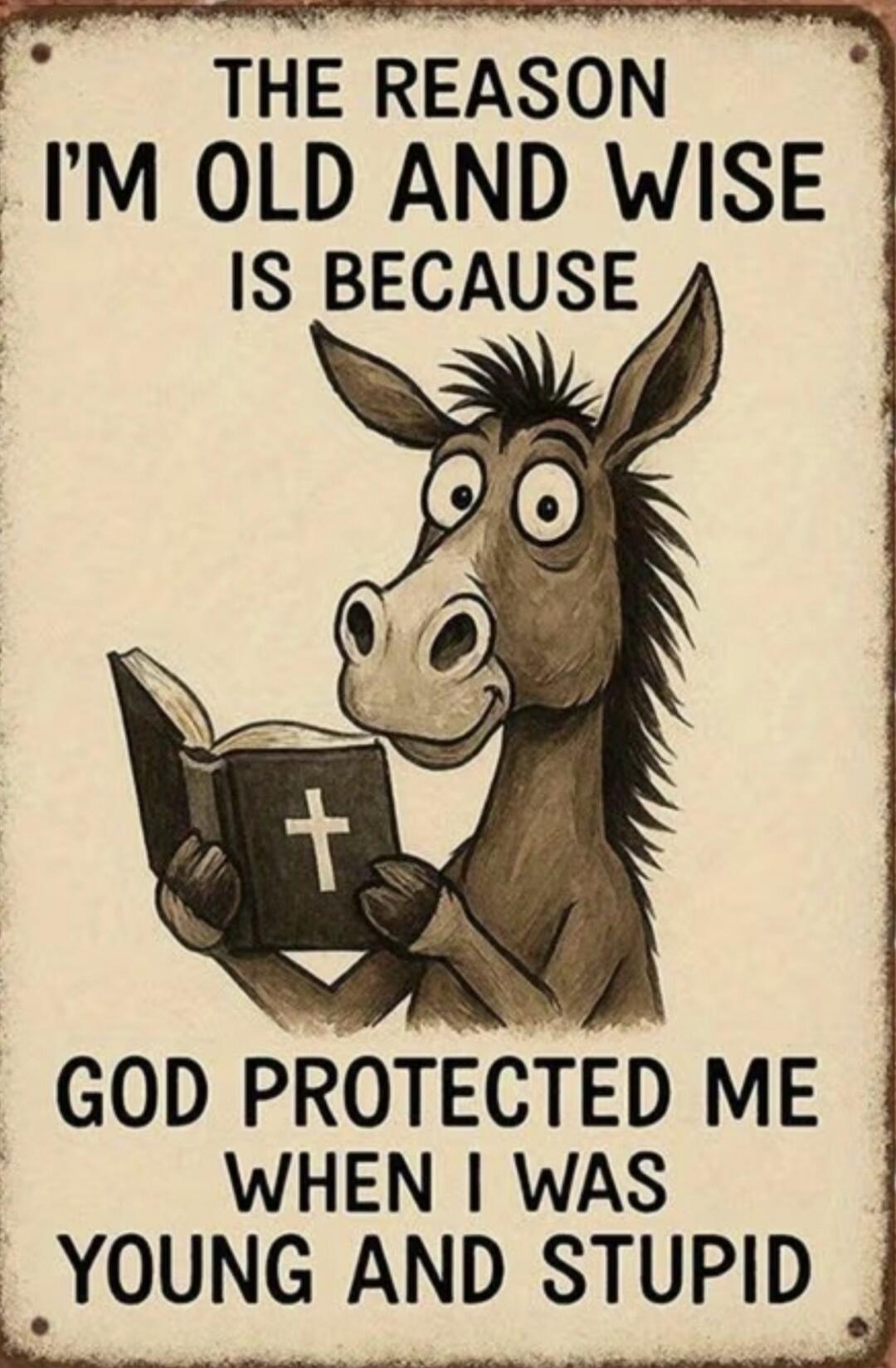 THE REASON I'M OLD AND WISE IS BECAUSE GOD PROTECTED ME WHEN I WAS YOUNG AND STUPID