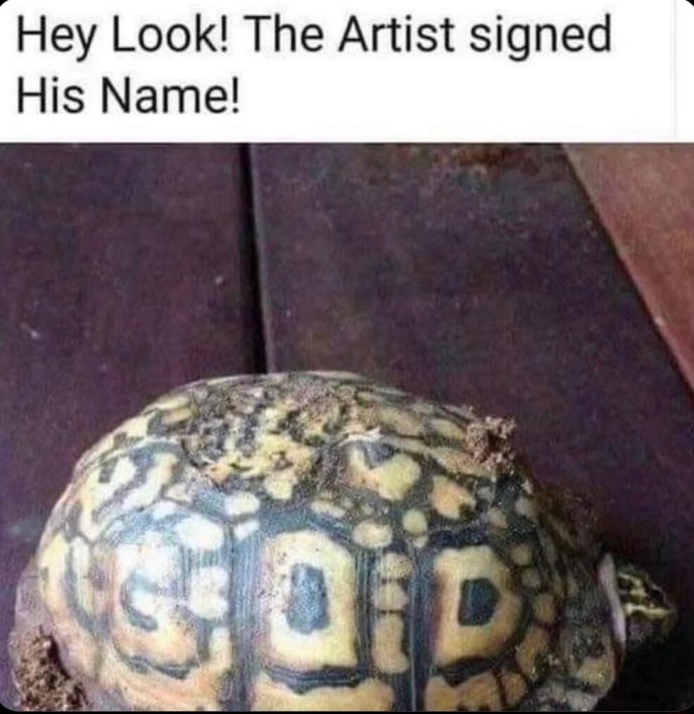 Hey Look The Artist signed His Name