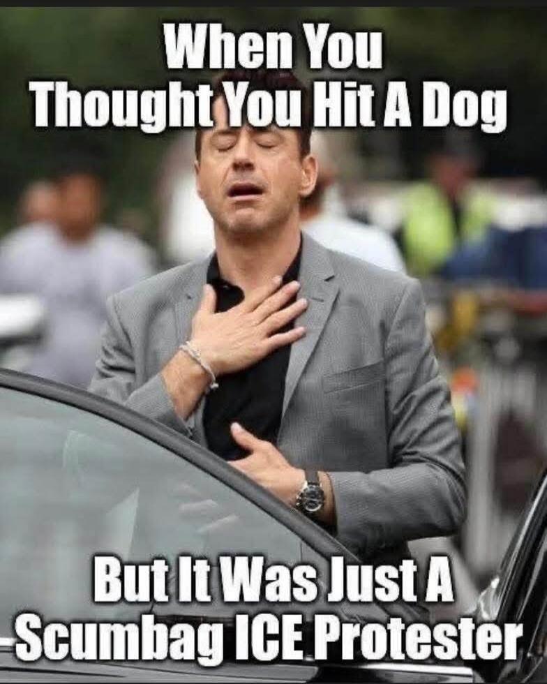 When You Thought You Hit A Dog
But It Was Just A Scumbag ICE Protester