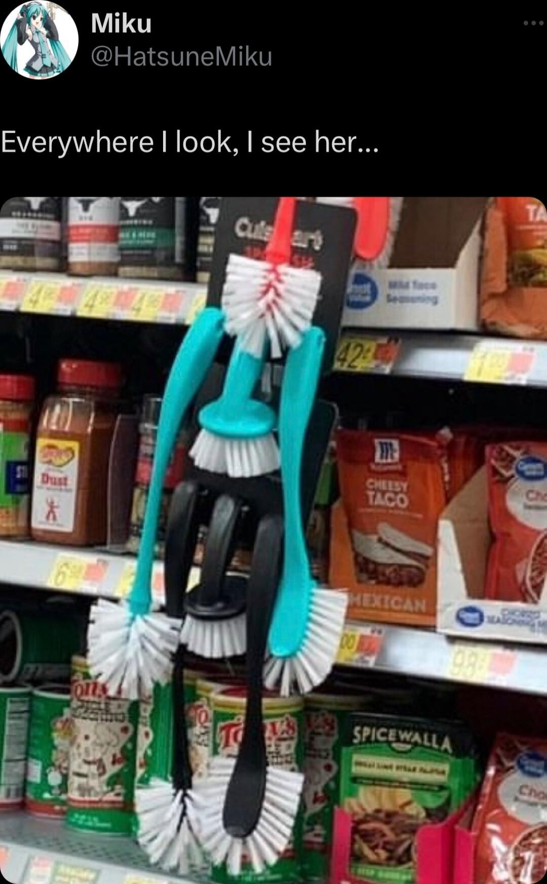 Miku EISVEVIINT Everywhere look see her