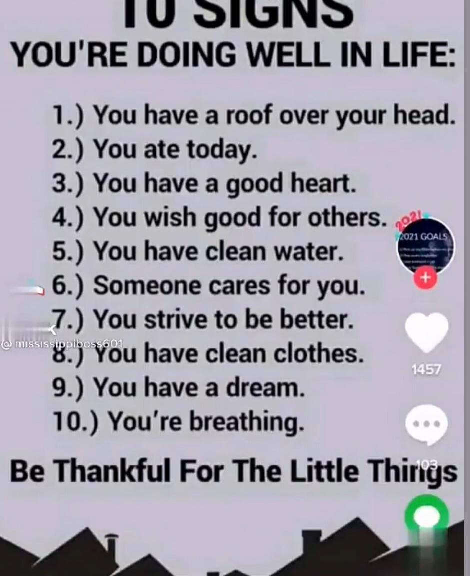 10 SIGNS YOU'RE DOING WELL IN LIFE:\n1.) You have a roof over your head.\n2.) You ate today.\n3.) You have a good heart.\n4.) You wish good for others.\n5.) You have clean water.\n6.) Someone cares for you.\n7.) You strive to be better.\n8.) You have clean clothes.\n9.) You have a dream.\n10.) You’re breathing.\nBe Thankful For The Little Things