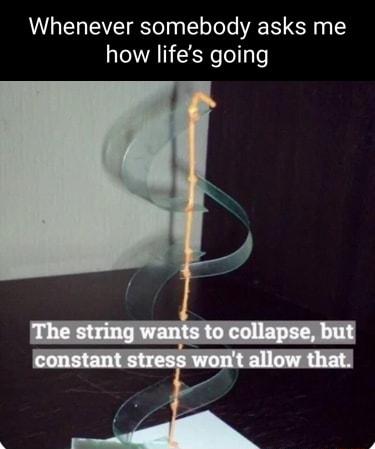 Whenever somebody asks me how lifes going