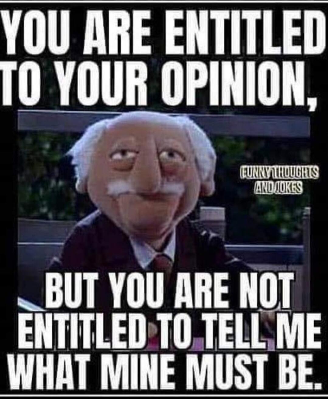 YOU ARE ENTITLED TO YOUR OPINION, BUT YOU ARE NOT ENTITLED TO TELL ME WHAT MINE MUST BE.