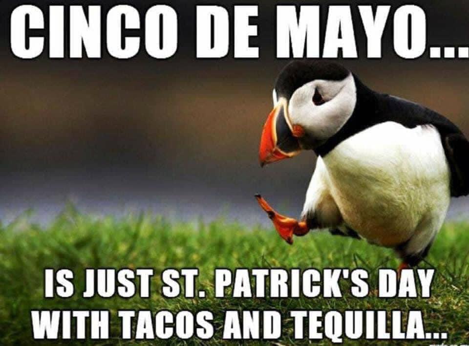 HUHIRIR 1 e wyM IS lllSI Sl IMBIBI sDay WITH TACOS AND TEQUILLA