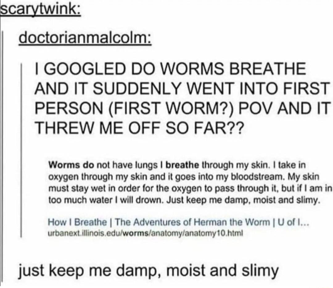 i Icolm GOOGLED DO WORMS BREATHE AND IT SUDDENLY WENT INTO FIRST PERSON FIRST WORM POV AND IT THREW ME OFF SO FAR Worms do not have lungs breathe through my skin take in oxygen through my skin and it goes into my bloodstream My skin must stay we in order for the oxygen 10 pass through it but f am in 100 much waer wil drown Just keep me damp moist and siimy How Breathe The Adventures of Herman the 