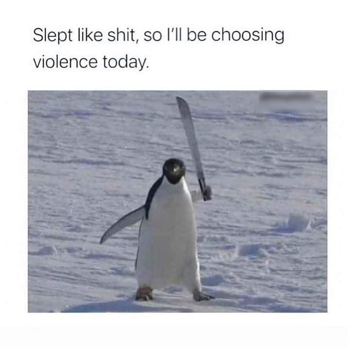 Slept like shit so Ill be choosing violence today