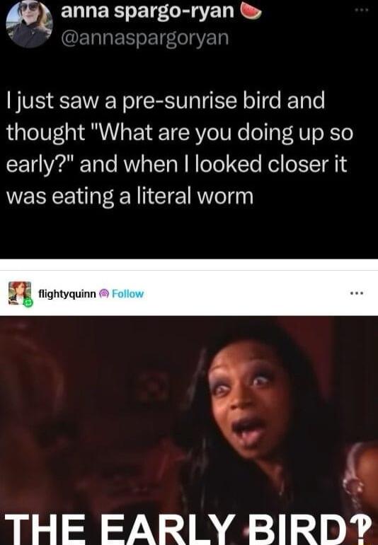 l anna spargo ryan just saw a pre sunrise bird and thought What are you doing up so CE O aTale RS Ta R M ool CTe Rel T WERCE N CTE R el THE EARLY BIRD A