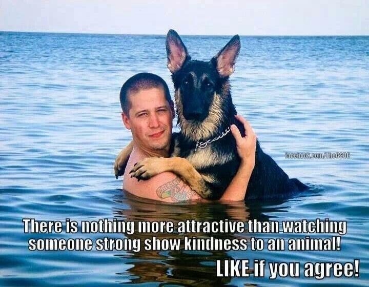 There is nothing more attractive than watching someone strong show kindness to an animal! LIKE if you agree!