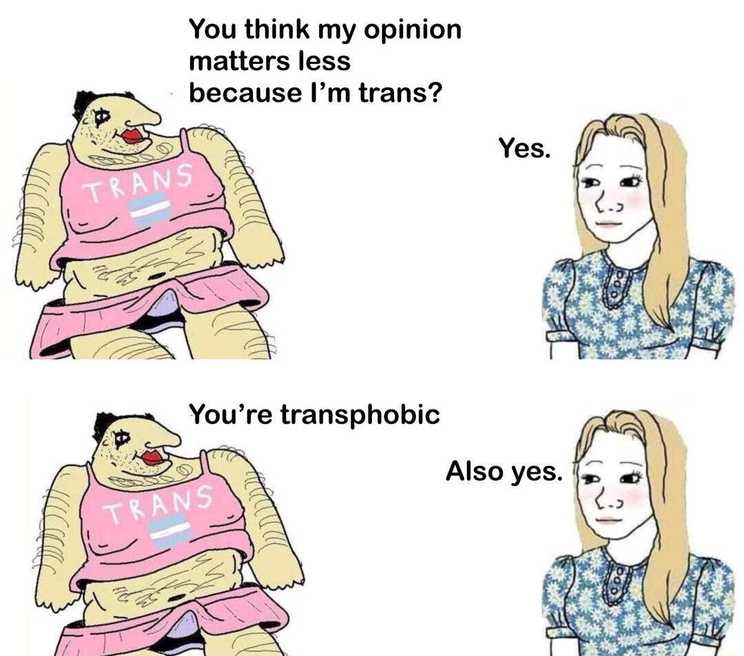 You think my opinion matters less because Im trans