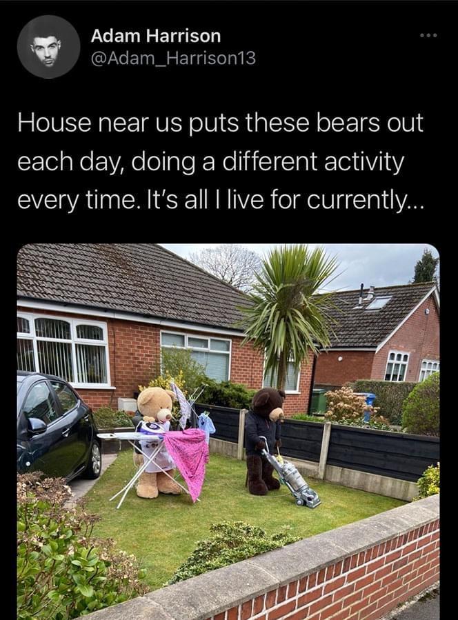 A ET NS ETg ey Adam_Harrison13 House near us puts these bears out each day doing a different activity every time Its all live for currently