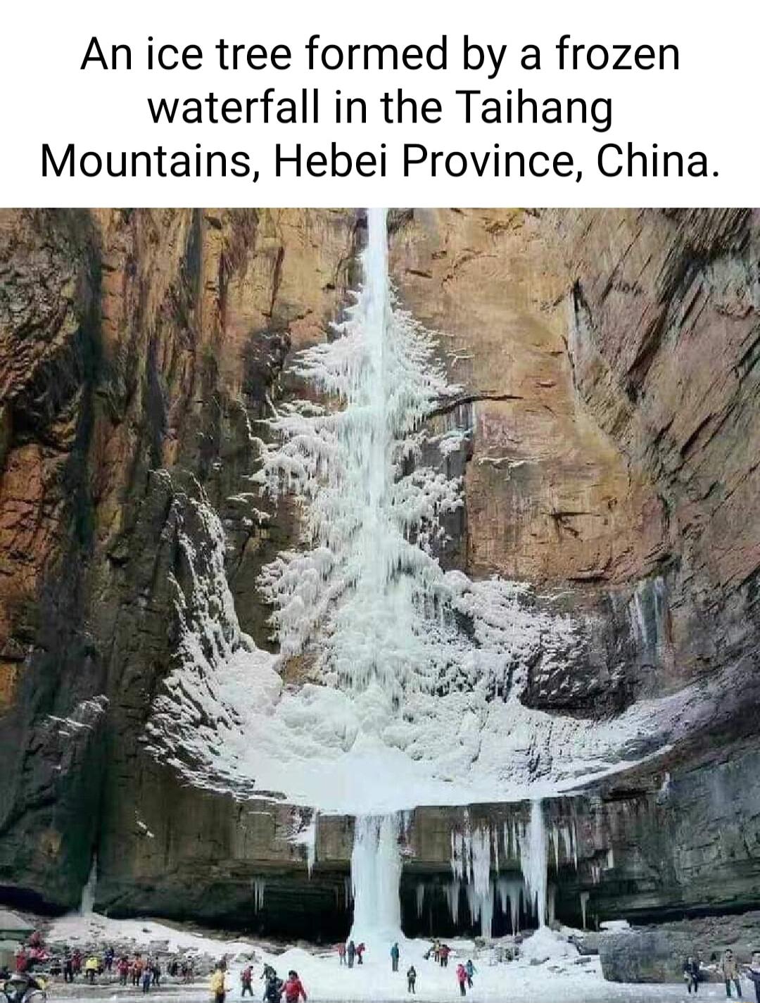 An ice tree formed by a frozen waterfall in the Taihang Mountains Hebei Province Ch