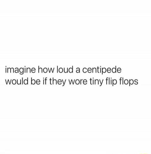 imagine how loud a centipede would be if they wore tiny flip flops