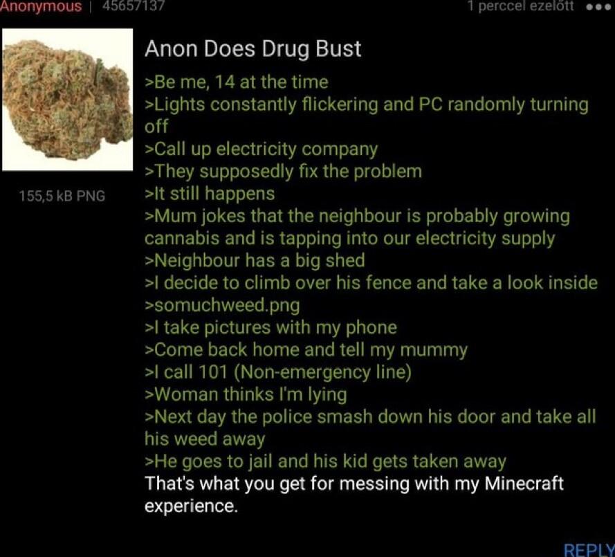 o Anon Does Drug Bust Be me 14 at the time Lights constantly flickering and PC randomly turning off Call up electricity company They supposedly fix the problem it still happens Mum jokes that the neighbour is probably growing cannabis and is tapping into our electricity supply Neighbour has a big shed I decide to climb over his fence and take a look inside somuchweed png I take pictures with my ph