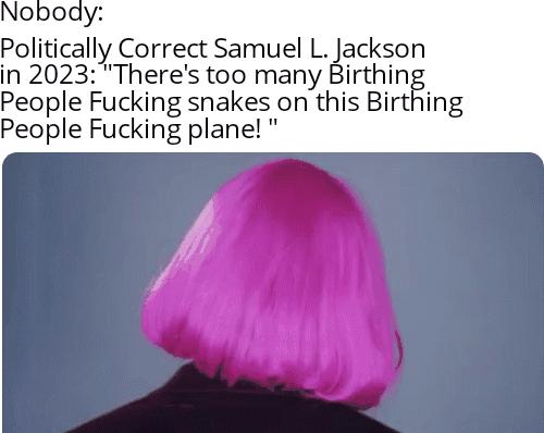 Politically Correct Samuel L Jackson in 2023Theres too many Birthin People Fucking snakes on this Birtl People Fucking plane