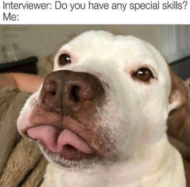 Interviewer Do you have any special skills Me