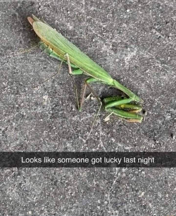 Looks like someone got lucky last night IR 4