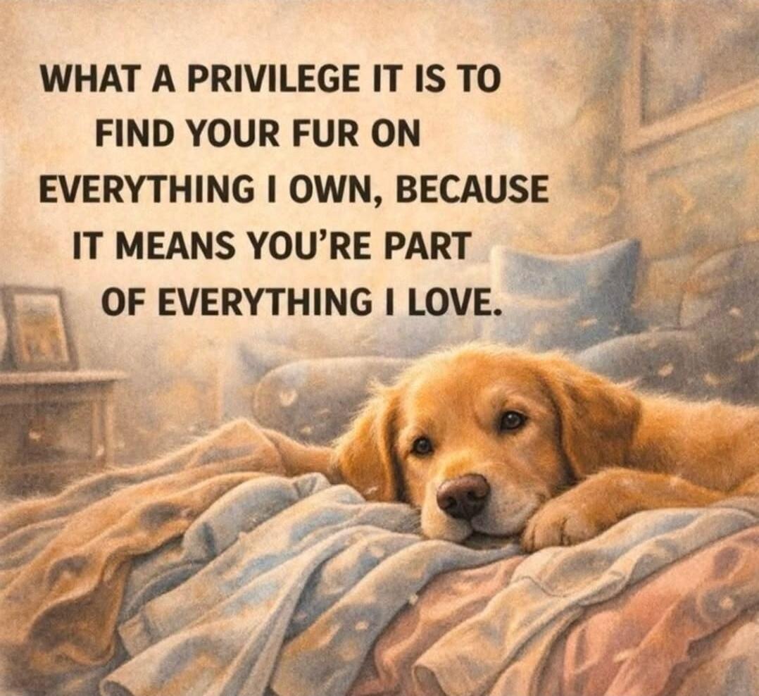 WHAT A PRIVILEGE IT IS TO FIND YOUR FUR ON EVERYTHING I OWN, BECAUSE IT MEANS YOU'RE PART OF EVERYTHING I LOVE.